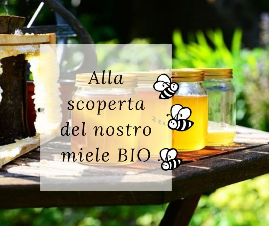 Alla scoperta del nostro miele BIO