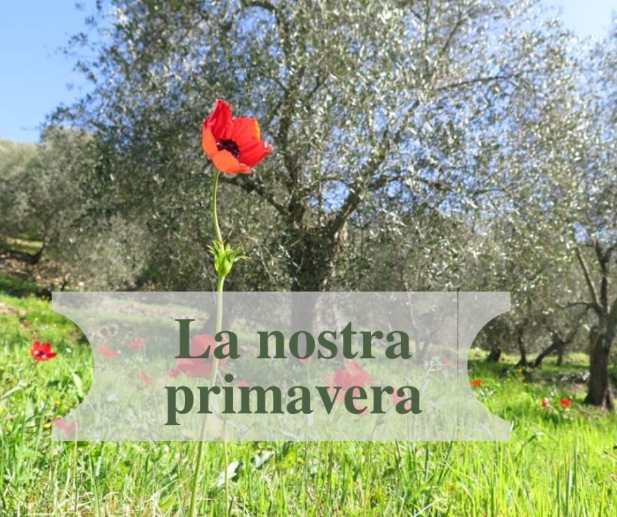 La nostra primavera